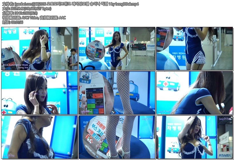 2016 Automative 美女车模-03【303 MB】