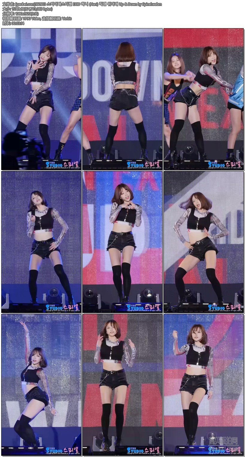 EXID 饭拍秀 拍摄日期：160903【9合集 1.29 GB】