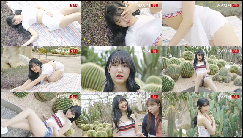 2019-04-09其它福利合集【100合集 21.4 GB】