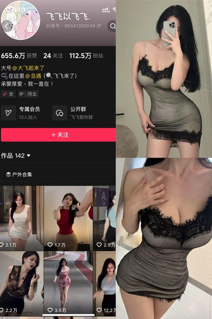 抖音 飞飞以飞飞 岛遇 1-4期 【36P2V】