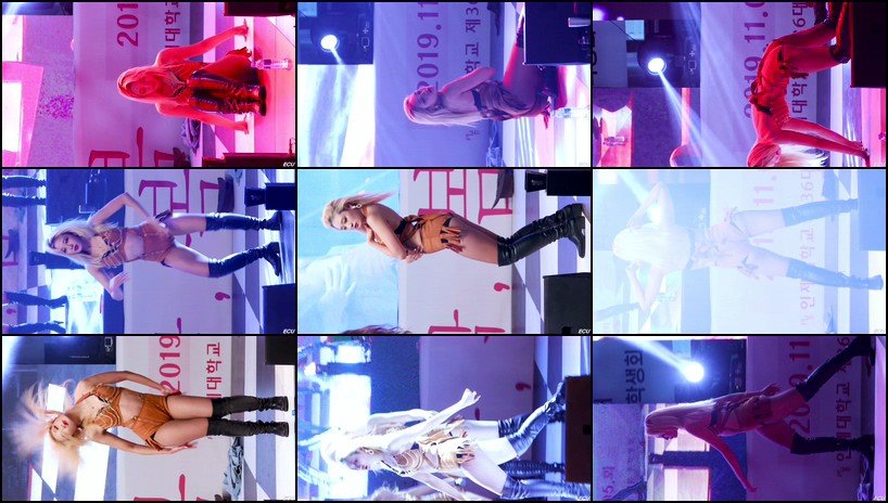 Fly with me 饭拍秀 拍摄日期：191105【2合集 971 MB】