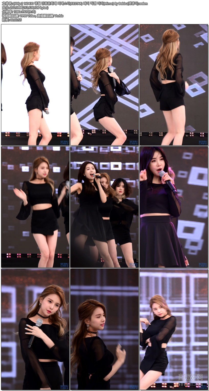 FIESTAR 之前遗漏补档【4 合集 720 MB】