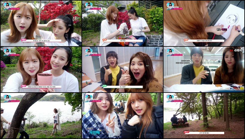 2019-05-20其它福利合集【100合集 30.2 GB】