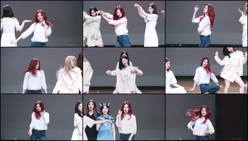 DIA 单拍秀 拍摄日期：190503【21合集 18.6 GB】