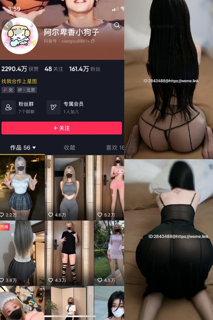 抖音 阿尔卑香小狗子 微密圈 NO.057期 【36P1V】最新至：2024.9.3