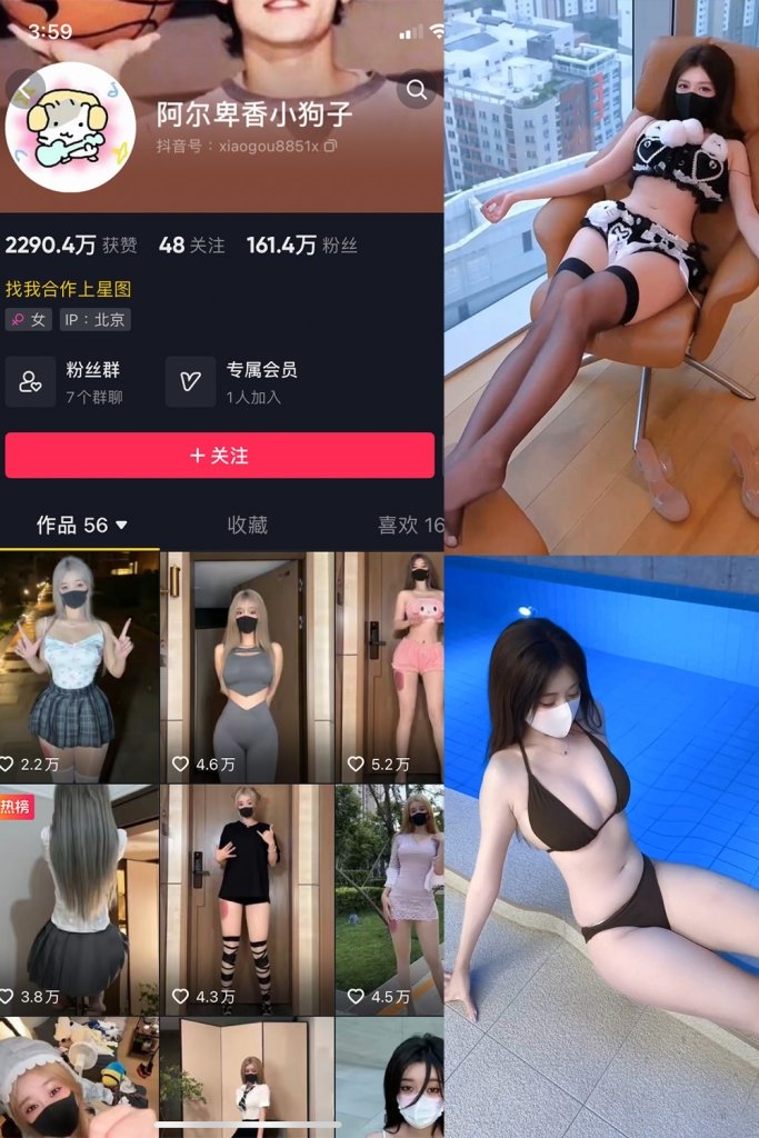  抖音 阿尔卑香小狗子 微密圈 | 觅圈 NO.062期 【8V】