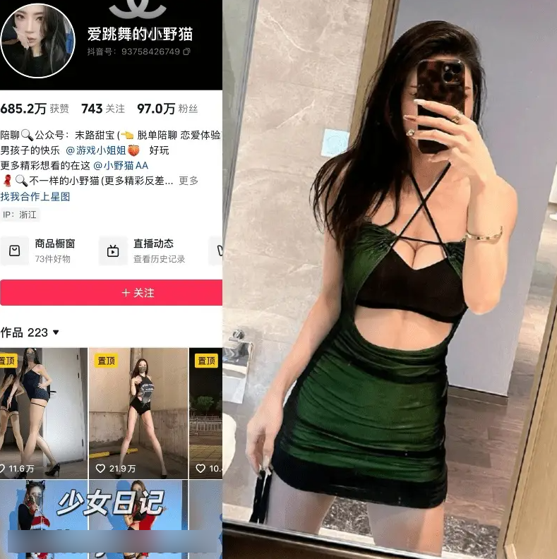 爱跳舞的小野猫 – 铁粉空间合集 2025年抖音资源更新中